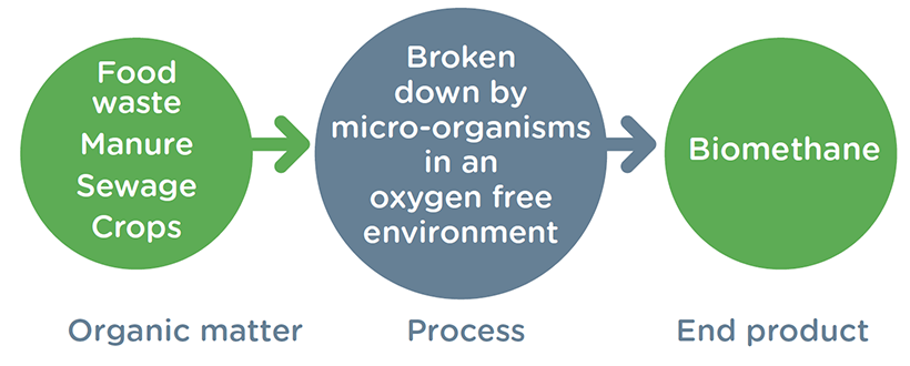 A diagram showing the biomethane process. Organic matter is broken down by micro-organisms and this becomes the end product, Biomethane.