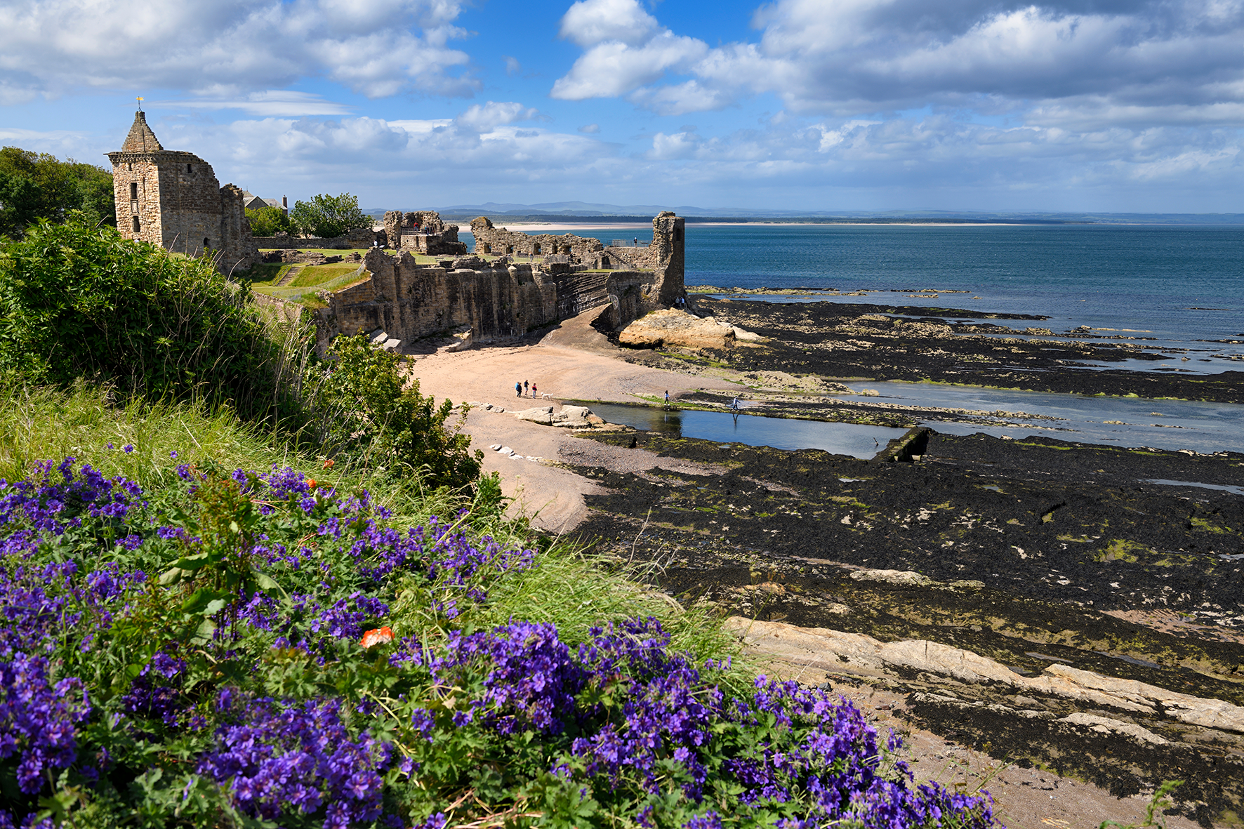 Castle and East Sands, St. Andrews, Fife. With its abundant renewables resource and developed energy infrastructure, the East Neuk could become a hub for power-to-hydrogen projects.