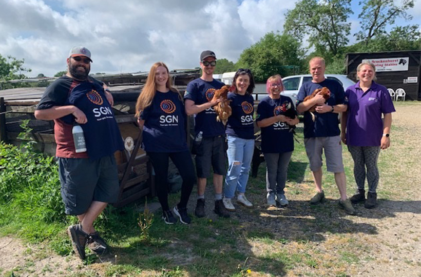 Six people wearing SGN t-shirts with a woman in a purple Chicken Rescue UK polo shirt, holding three chickens next to a chicken pen.