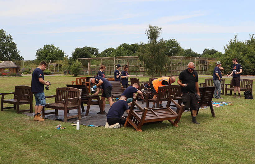 A group of people working to maintain multiple memorial benches