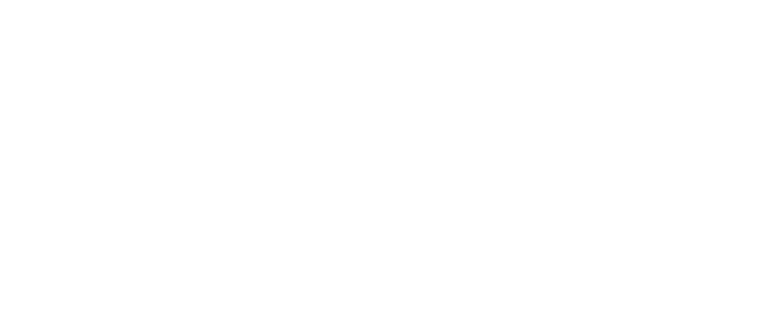 White SGN Logo