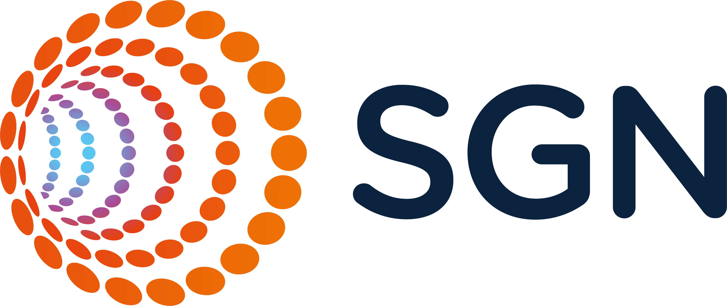 Small SGN Logo
