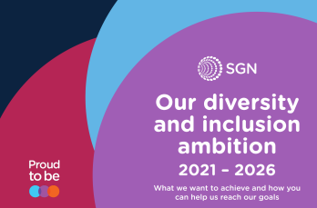 This is the cover of the Diversity and Inclusion report.